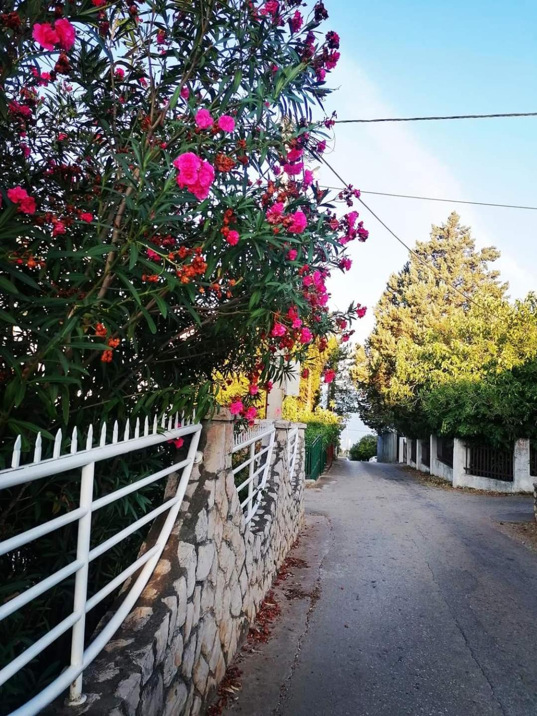 Apartmani Ljubica Utjeha Exterior foto